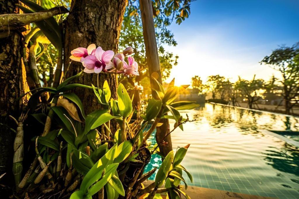 Chatnipa Beach Resort By Morseng Ban Hat Lek Eksteriør bilde